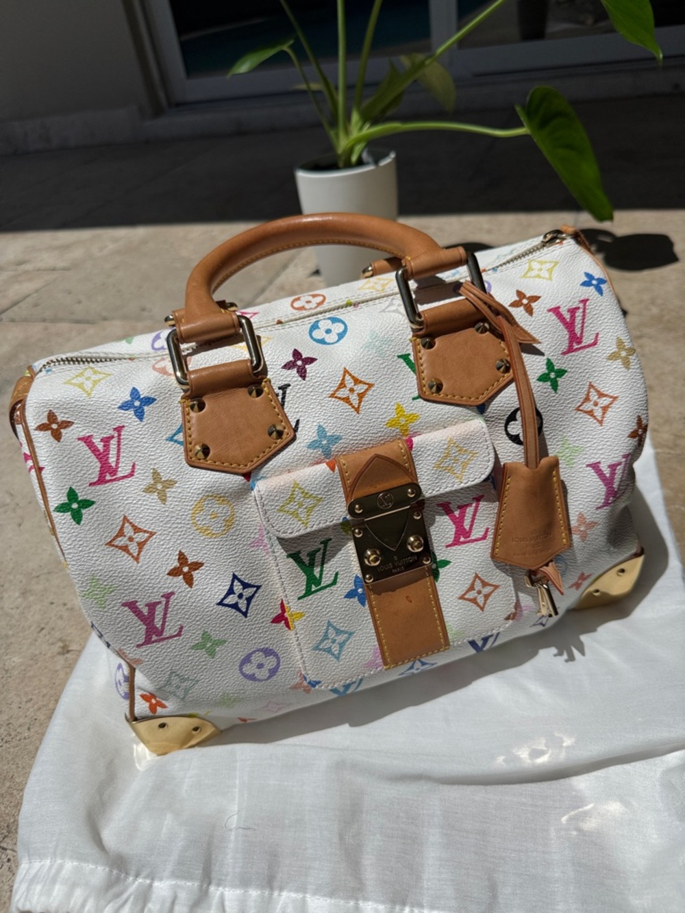 LV Speedy 30 multicolored tote bag